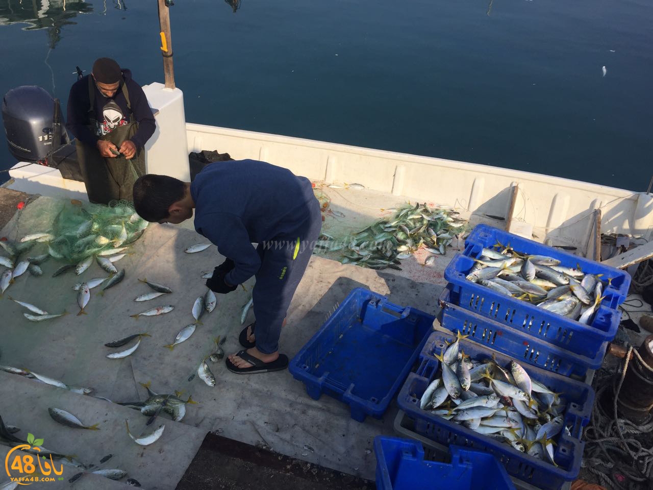 asmak torglos (6).jpg